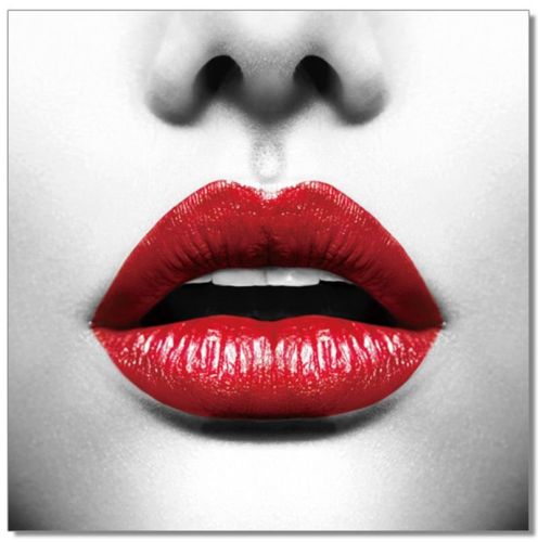 Oppidan Home "Red Lips" Acrylic Wall Art (40"H X 40"W)