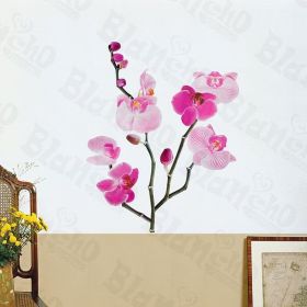Bright Flowers - Wall Decals Stickers Appliques Home Decor (SKU: HEMU-LD-8025)